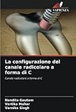  La configurazione del canale radicolare a forma di C: Canale radicolare a forma di C