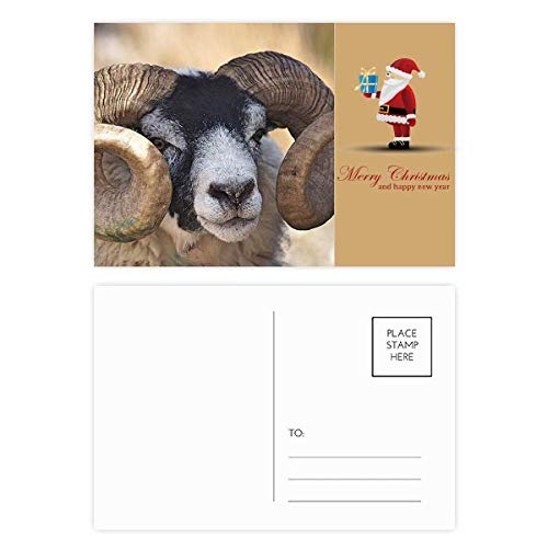 Cartes postales et cartes de remerciement organisme terrestre - Papeterie lot de 20