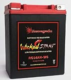 RG14AH-WS; 400 Cold Cranking Amps; Polaris 2011, 2012, 2013, 2014 Sportsman 550 X2 ATV battery...