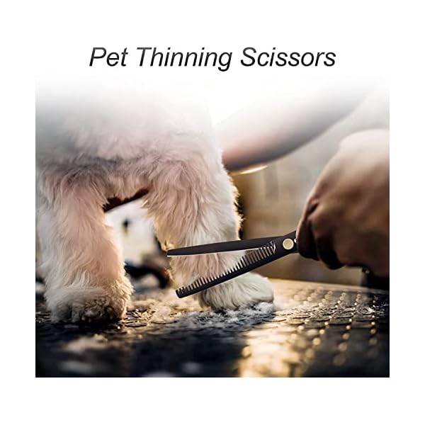 Dog Grooming Scissors Kit, CIICII 7 Inch Professional Pet Grooming Scissors Set (Dog/Cat Hair Thinning Trimming Cutting Shears) with Curved Scissors for DIY Home Salon (Heavy Duty-Black-9Pcs) Dog Grooming Scissors Kit, CIICII 7 Inch Professional Pet Grooming Scissors Set (Dog/Cat Hair Thinning Trimming Cutting Shears) with Curved Scissors for DIY Home Salon (Heavy Duty-Black-9Pcs)