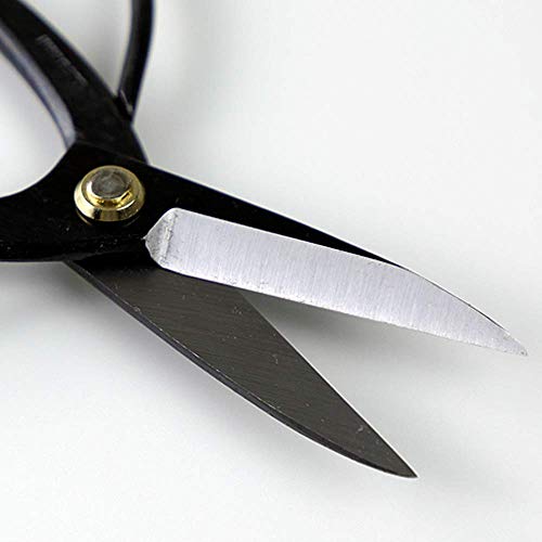 Wazakura Bonsai Scissors Made In Japan 7Inch(180Mm), Japanese Bonsai Garden Tools, Hasami Pruning Shears #TOP3