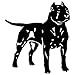 KDEQT Sticker De Carro 13,5 * 15,1 Cm Pit Bull Terrier Perro Calcomanía De Animales Pegatinas De Decoración De Estilo De Coche