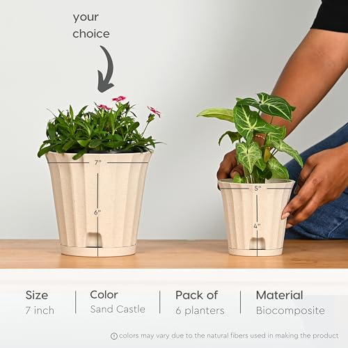 Image of Eha Earth Friendly Ace 7 inch Small Self Watering Pots for Indoor Plants | Set of 6 | Plant Pot Made with Bamboo Fibers | Table Top Planters for Home Decor, Flower Pot for Living Room | Sand Castle