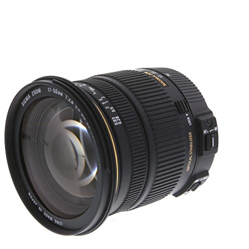 Sigma 24-70mm f/2.8 lens
