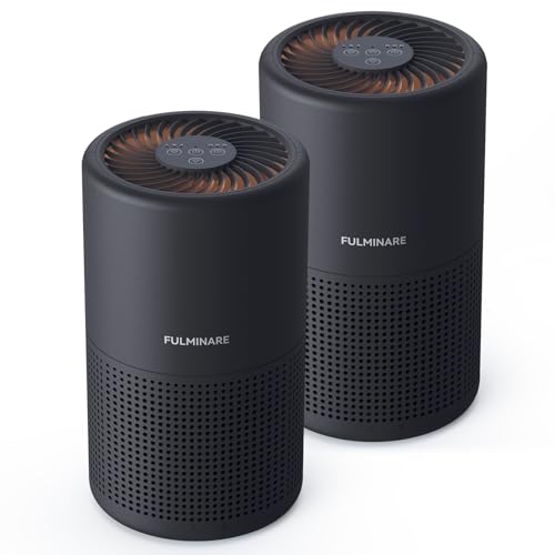 FULMINARE Black 2-Pack Air Purifier