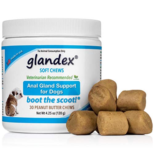 Glandex Soft Chews 30 Count, Anal Gland Fiber, Pumpkin & Probiotic Digestive Supplement for Dogs