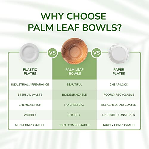 The Clear Conscience Palm Leaf Cups Mini Bowls For Condiments Like Ketchup Or Mayonnaise, 2.5" Round, 1" Deep, 2000 Pcs, Catering, Single Use, Heat-Resistant, Eco-Friendly, Professional Pack #TOP4