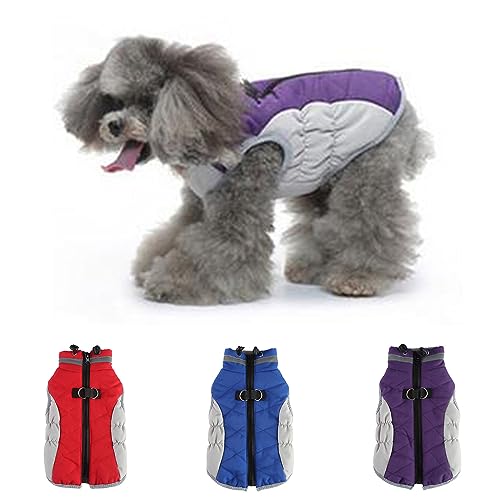 [YAMAGW]yGElCz H~ ^ ^ ybg ~ ! 킢 t[X ܂ gbvX ӂӂ ybgEGA  L  hbNEGA LbgEGA   h TVc NX}X RXv hbO