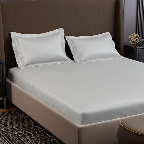 Image of Stoa Paris 350TC Luxstre Cotton Double Fitted Bedding Set with 2 Pillow Covers, All-Around Elastic Fitted Bedsheet 152cm x 198cm + 30cm Drop, All Season Comfort, Breathable, Panache - White