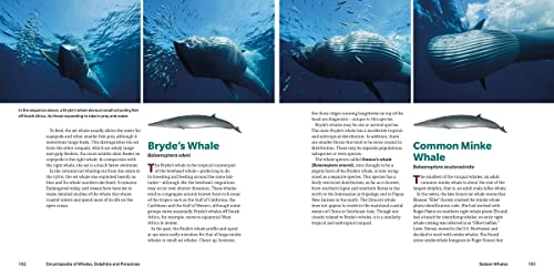 Encyclopedia of Whales, Dolphins and Porpoises