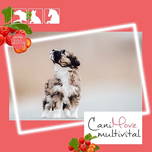 CaniMove multivital (100 Vitamintabletten für Hunde) | B-Komplex, A, C, D3, E und Taurin | Multivitamine für Barf, OPs, Aufbau, Laktation, Sport, Anstrengung, Krankheit | bis zu 1 Jahr Reichweite