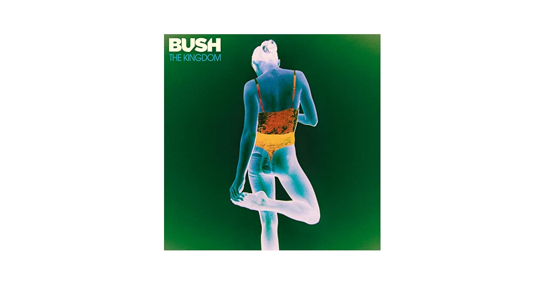 米LP Bush The Kingdom 538879041 BMG /00260 Bush - The Kingdom - Amazon.com Music