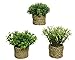 Kaemingk Agricola Pe Grass Plant In Pot Plants Fake 3Ass3 D DIA16X13CM - 3