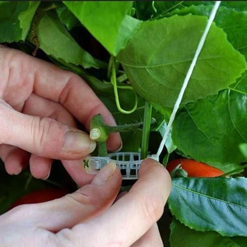 100 Stück weiße Pflanzenstütz-Clips, Pflanzenbefestigungs-Clips, Tomaten-Clips, Pflanzenclips für Kletterpflanzen, Gartenclips, Pflanzenstütz-Clips, Pflanzenreben-Befestigungsclip (ZS335)