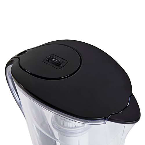 Vitapur Vwd3506Bl 10 Cup Water Pitcher, Clear #TOP2