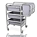 Gastronette Wózek do naczyń, wózek do serwowania, wózek do serwowania sztućców, naczyń, odpadów, 3 wkładki, wózek na kółkach, metalowa rama ze stali nierdzewnej, 4 ruchome kółka, 2 pojemniki na odpady