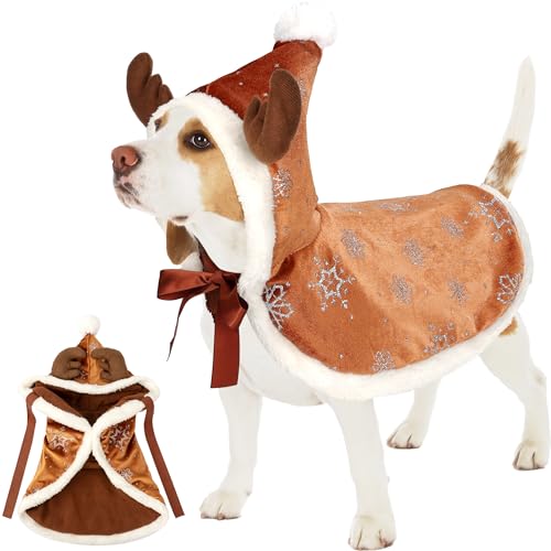 Best UPS Dog Costume, Halloween & Holiday Costume for Dogs