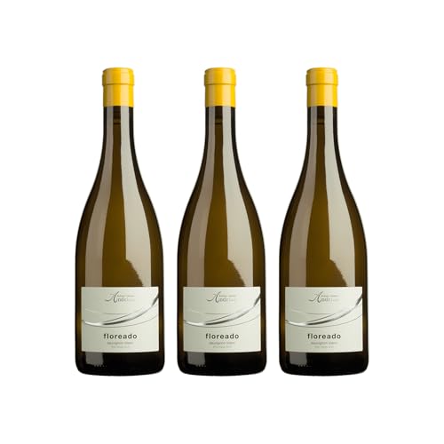 Cantina Andrian Floreado Sauvignon Blanc DOC trocken Weisswein Italien inkl....