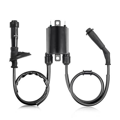 image for MOTO1988 2set of Ignition Coil & Spark Plug Cap For Honda Shadow VLX 6