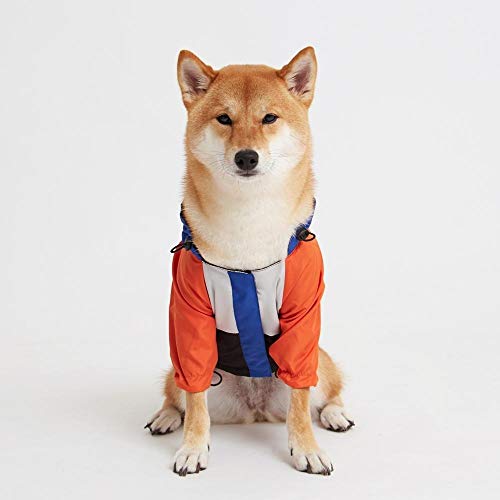 Corta-Vento para Cachorro, Dog Wings, Windbreaker Pocket, Laranja, GG