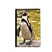 Produktbild beatChong Southern Ocean Penguin Antarktis Wissenschaft Natur-Pass-Halter Travel Wallet Abdeckungs-Fall Karten-Geldbeutel