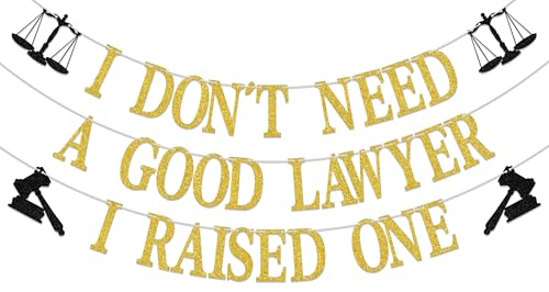 I Don'T Need A Good Lawyer I Raised One Banner,Congrats Lawyer ƃp[eB[fR[VANX 2025 ƃp[eB[pi S[h ubN 