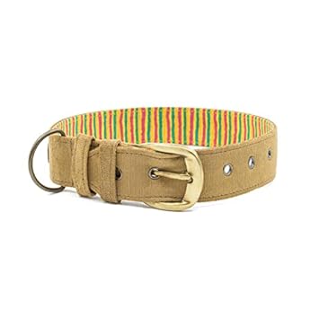 PetWale Bronze Dog Collar (Size: Large)