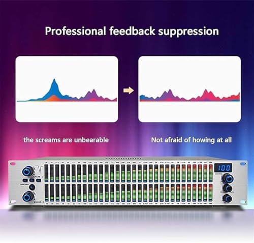 31-band graphic equalizer with digital audio processing, LED spectrum display, 10 preset effects, automatic noise reduction for professional studio use