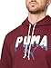 PUMA Men's Graphic Hoodie, Ruby Shimmer Double Up AH25, X-Large
