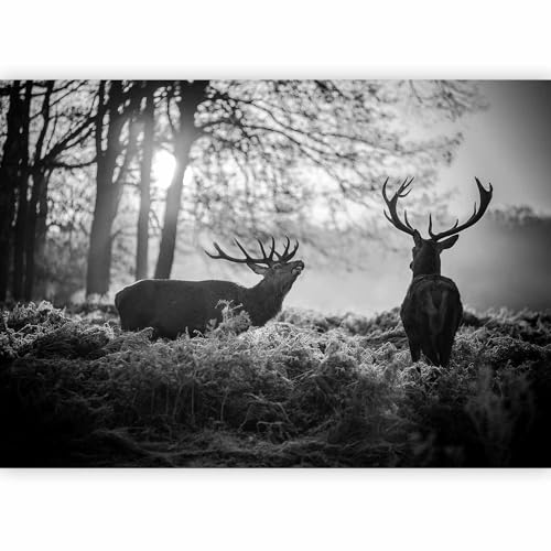 murando - Papier peint panoramique animal 350x256 cm - Revêtement mural décoration chambre salon - Design moderne - Gris noir - Des arbres photographie cerf...