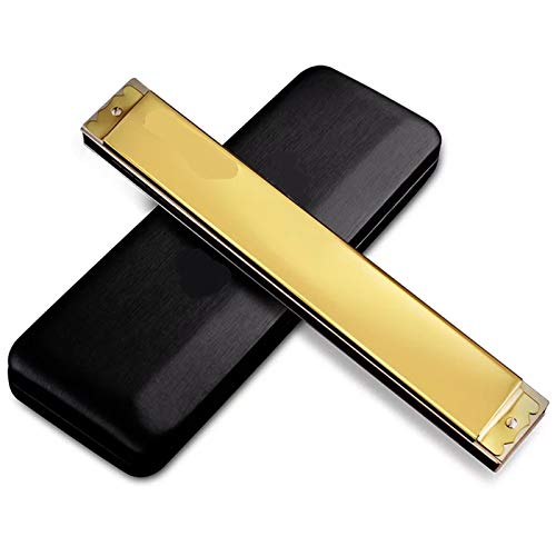 KIRANDIE Harmonica 28 Trous Professionnel Bouche Organ Harpe Instrumentos clé C Instruments de Musique T28-3 Argent Or… - Les Beatles, Paul McCartney, John Lennon, RIngo Starr, George Harrison KIRANDIE Harmonica 28 Trous Professionnel Bouche Organ Harpe Instrumentos clé C Instruments de Musique T28-3 Argent Or… – Image 3
