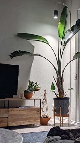 Aspect Large Black Luxury Led Grow Light – For Medium And Large Plants New Large White Luxury Led Grow Light – For Medium And Large Plants #TOP7