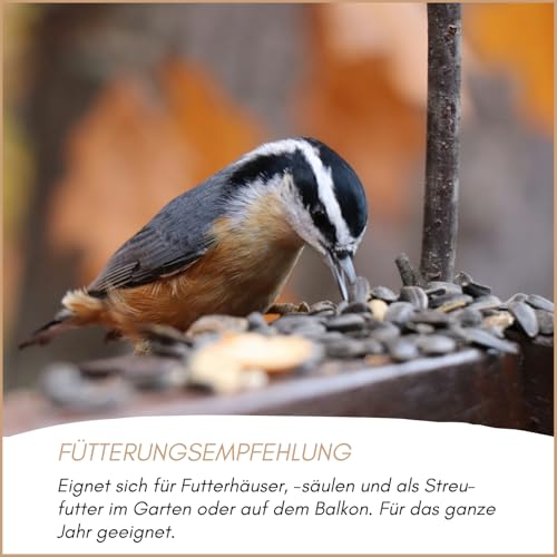 Sonnenblumenkerne geschält Supravit 5kg Beutel für Wildvögel