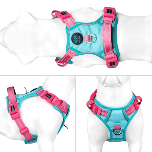 PHOEPET Anti-Zug Hundegeschirr verstellbar mit Reflektoren | Trainingsgriff & Metallclips für alle Hundegrößen(M,Minzgrüne Basis & Pinke Träger)