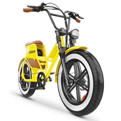 1000W Electric Bike 17AH 48V– Moped Style Full Suspension Ebike,
