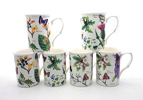 SET OF 6 FINE BONE CHINA WOODLAND BUTTERFLY MUGS