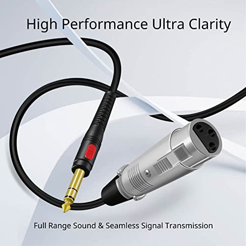 Tnp Premium 3 Pin Xlr Female To 1/4 Inch (6.3Mm) Male Trs Stereo Jack, Balanced Microphone, Gold Plated Xlr To 1/4 Adapter Cable For Powered Speakers, Studio Sound Consoles (6 Feet) #TOP1