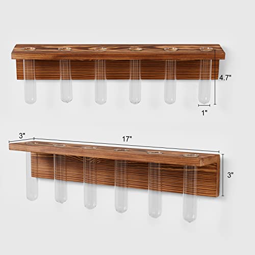 Mokof Propagation Stations, Plant Propagation Wall Hanging, Propagated Plant Vase For Home Office Decor (2 Pack, 12 Tubes) #TOP4