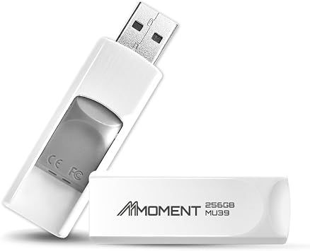 MMOMENT MU39 256GB USB 3.1 Gen1 Flash Drive, Read Speed up to 100MB/s, Retractable Design Thumb Drive
