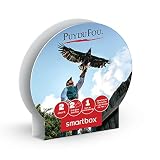 Smartbox Mixte Séjour – Siècle Puy du Fou s jour Grand Si cle 2023, Multi-Colour, Taille unique EU
