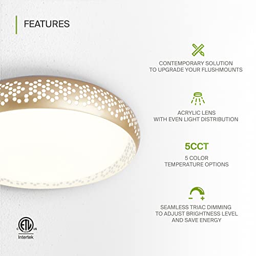 Asd 20 Inch Led Flush Mount Ceiling Light Fixture - Modern Gold Close To Ceiling Light Fixtures 42W 2381Lm, 2700-5000K Adjustable Dimmable Low Profile Lights For Kitchen, Bedroom, Hallway, Etl #TOP25