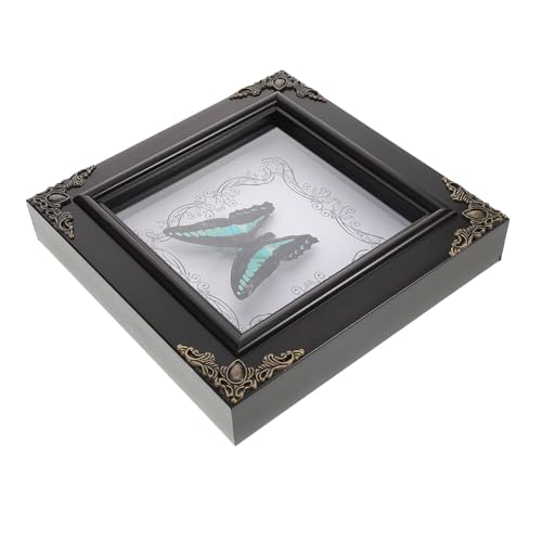 Insecto real enmarcado HANABASS como regalo original para entusiastas 2