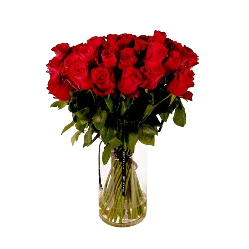 Bouquet de Rosas Color Rojo Flores Frescas con 25 Flores para Regalar en Cualquier Ocasión Rosas Rojas Naturales