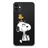 LA CASA DE LAS CARCASAS