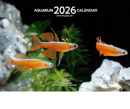 Aquarium Calendar アクアリウムカレンダー 2026(月めくり・壁掛け) ([カレンダー])