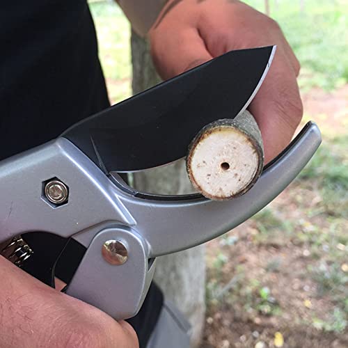 Tesoura de galho, tesoura de poda lâmina pontiaguda, economia de trabalho à prova de ferrugem para p