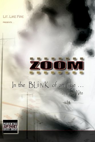 ZOOM (In the Blink of an Eye Book 1)