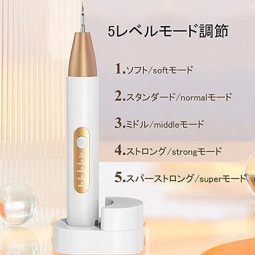 Micfendy 超音波歯クリーナー 歯間クリーナー 口腔洗浄器 USB 充電式 携帯用歯清潔器 5モード調節可能 LEDライト クリーニングキット の商品画像 2