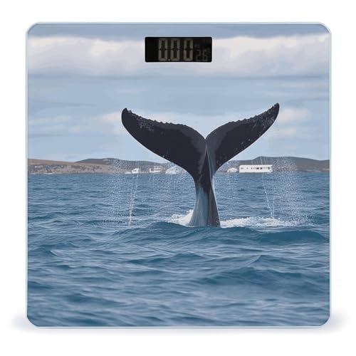 Báscula digital de baño Whale Tail con pantalla LCD miniatura 1