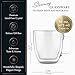 Elixir 16 oz Large Double Wall Coffee Mug Set of 2 - Double Wall Glass Coffee Cup - Large Coffee Mug - Insulated Glass Coffee Mugs with Handle for Hot Drinks Tea